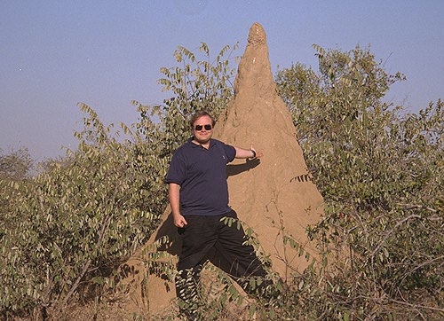 [Termite mound and your host]